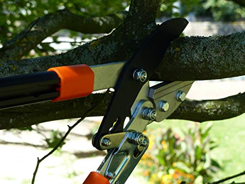 Garten Primus Astschere, Astamboss - Ratschenschere, schwarz / orange, 67 x 28 x 3,5 cm, 01100 – Bild 6