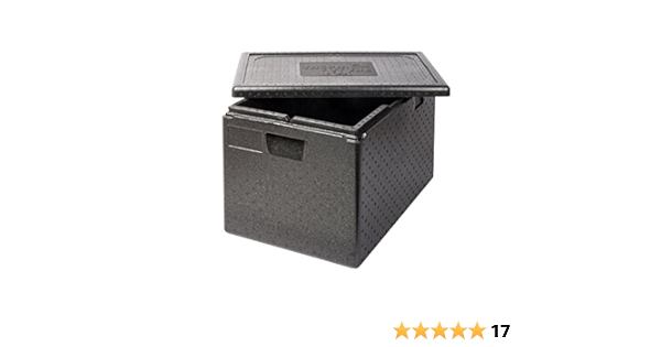 Thermo Future Box GN 1/1 Premium Thermobox Nevera portátil ...