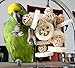 Bird Toys Foraging Star Bird Chew Toy Super Shredder Ball- Will Keep Your Bird Busy for Weeks Foraging for Hidden Treasures Parrot Cage Toys Cages Shredder Cockatiel Conure (1Rattan Chew Ball)thumb 2