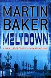 Front cover for the book Meltdown by Martin Baker