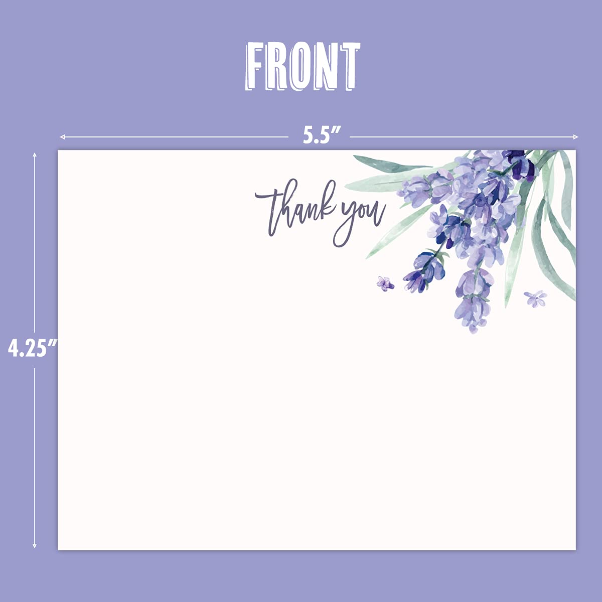 Koko Paper Co Lavender Thank You Cards | 25 Flat Cards and Envelopes | Printed on Heavy Card Stock.