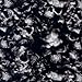 Linear Meter Black & Clear Smokey Skulls Hydrographic Water Transfer Film Hydro Dipping Dip