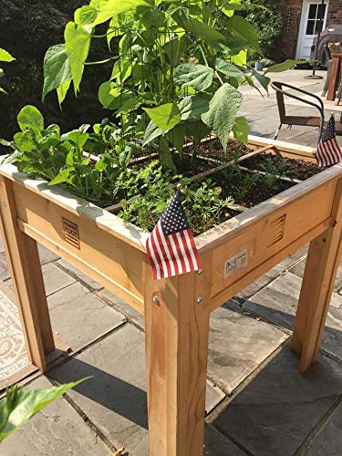 Square Foot Gardening for the Red River Valley 3 X 3 Elevated Garden