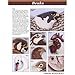Intarsia Birds: Woodworking the Wise Way (A Sawdust Scroll Saw Project Book)
