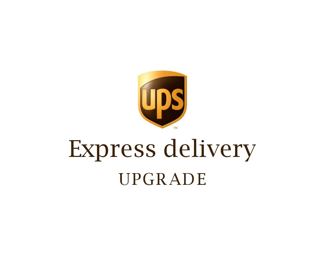 Global shipping & logistics services. desertcart