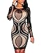 Cfanny Women's Lace Nude Illusion See Through Sleeves Bodycon Dress