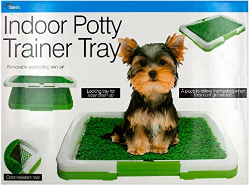 Indoor Potty Trainer Tray - Pack of 2