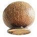 PARTYMASTER Natural Coconut Shell Cup，Hawaiian Summer Luau Party Cup