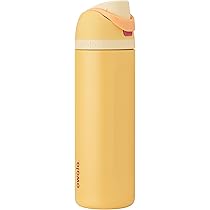 Owala Disney Princess FreeSip Insulated Stainless Steel Water