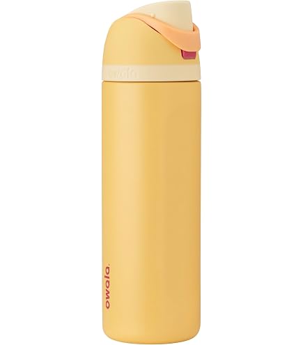 Owala Disney Princess FreeSip Insulated Stainless Steel Water