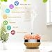 Essential Oil Diffuser Aromatherapy Diffuser - LOENDE Oil Diffuser Aroma Diffuser Cool Mist Humidifier Himalayan Salt Lamp Works with Alexa Google Home for Office Home Bedroom Living Room Yoga Spa