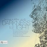 DARKNESS TO LIGHT-THE MUSIC OF JEFFREY JACOB       image