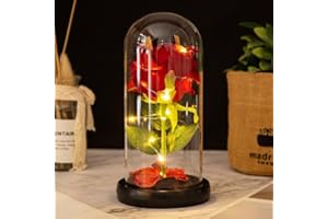 Glass Rose (Rose-1P) Eternal Rose in Glass Dome, Enchanted Rose Glass with Pine Base LED Lights, for Birthday, Wedding Annive