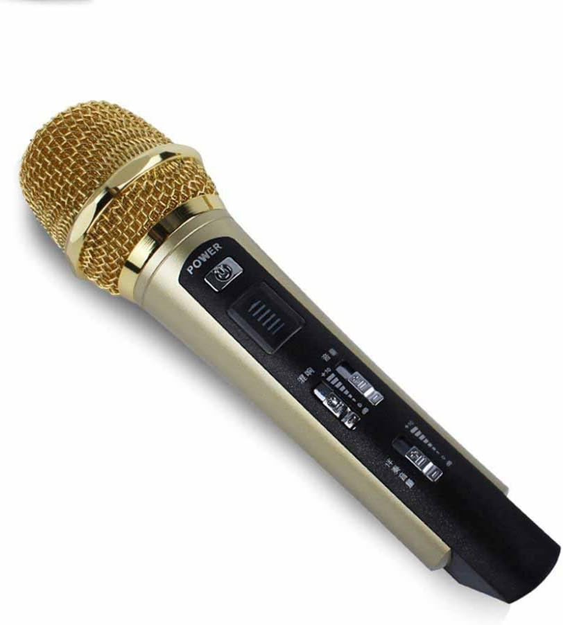 Daeou FM Wireless Microphone Car Microphone Car Mobile Microphone Karaoke Microphone Dynamic Microphone