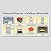 Kidde 900-0076-01 Ac Powered, Plug-In Carbon Monoxide Alarm by Kidde