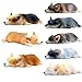 CHOP MALL Cute Corgi Fridge Magnets Sleeping Welsh Corgi Refrigerator Magnets Office Magnets Funny Magnet for Kitchen Fridge Decor Home
