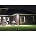 Lighting EVER LED Flood Light 20 Watt IP65 Waterproof Security Fixtures, 5000K Daylight White, Indoor and Outdoor Landscape Floodlight for Yard Garden, Playground, Party(Black, No Plug)