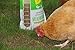 Mealworms - Premium Dried Mealworms (1 lb bag) byTasty Bug Treats (Meal Worms)