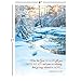 Expressions of Faith Christmas Card Assortments - Holiday Greeting Cards, Set of 32, Large 5