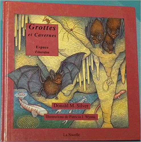 grottes-et-cavernes-silver