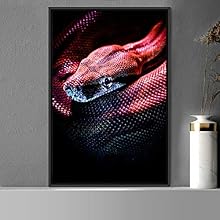 signwin Framed Canvas Wall Art Snake Contemporary Dramatic Hallway Multicolor Photography Reptiles Snakes - 24x36 inches