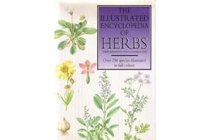 The Illustrated Encyclopedia of Herbs: Their Medicinal and Culinary Uses