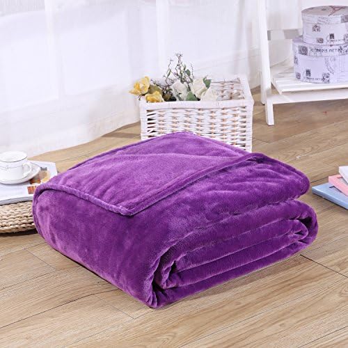 Super Soft Velvet Plush Throw, Fleece Flannel Bed Couch Throw Warm Blanket, Popular Neutral Colors, 28" X 40" (purple)