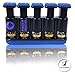 Finger Master Hand Exerciser - Best Hand & Finger Strengthener For Grip & Finger Strengthening, Guitar Practice, Rock Climbing Training And Trigger Finger Training - Blue