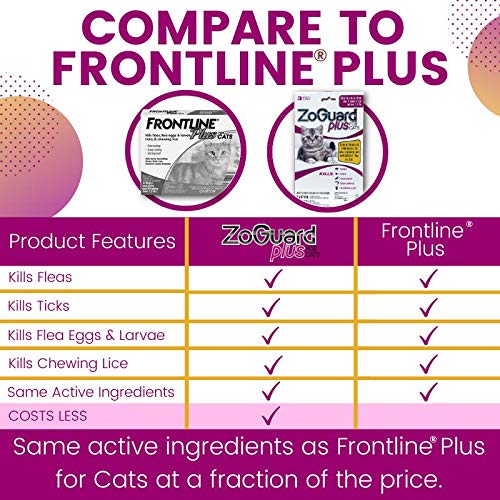 Reviews ZoGuard Plus Flea and Tick Prevention for Cats, Over 1.5 lbs