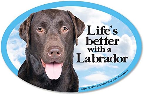 Lab Retriever (Choc) Car Magnets: Life's Better with an Lab Retriever (Choc) - Oval 6" x 4" Auto/ Truck/ Refrigerator/ Mailbox (Funny Car Decals, Dog Magnet, Lab Retriever (Choc)