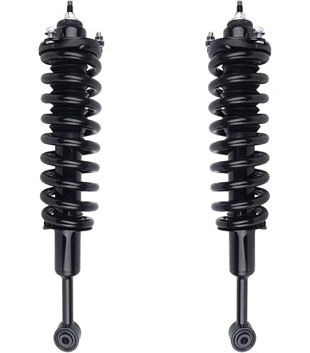 Amazon.com: LUFT MEISTAR 48520-80232 48510-80499 Pair Front Shock