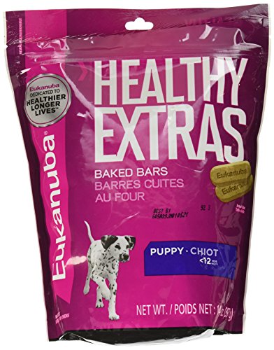 rain jacket for cats