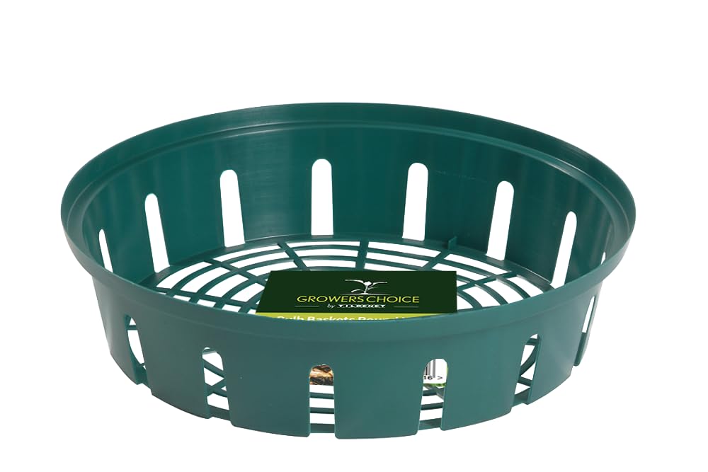 Bosmere N431 Garden Care Round Bulb Baskets, Large (30 cm), Pack of 2, Green