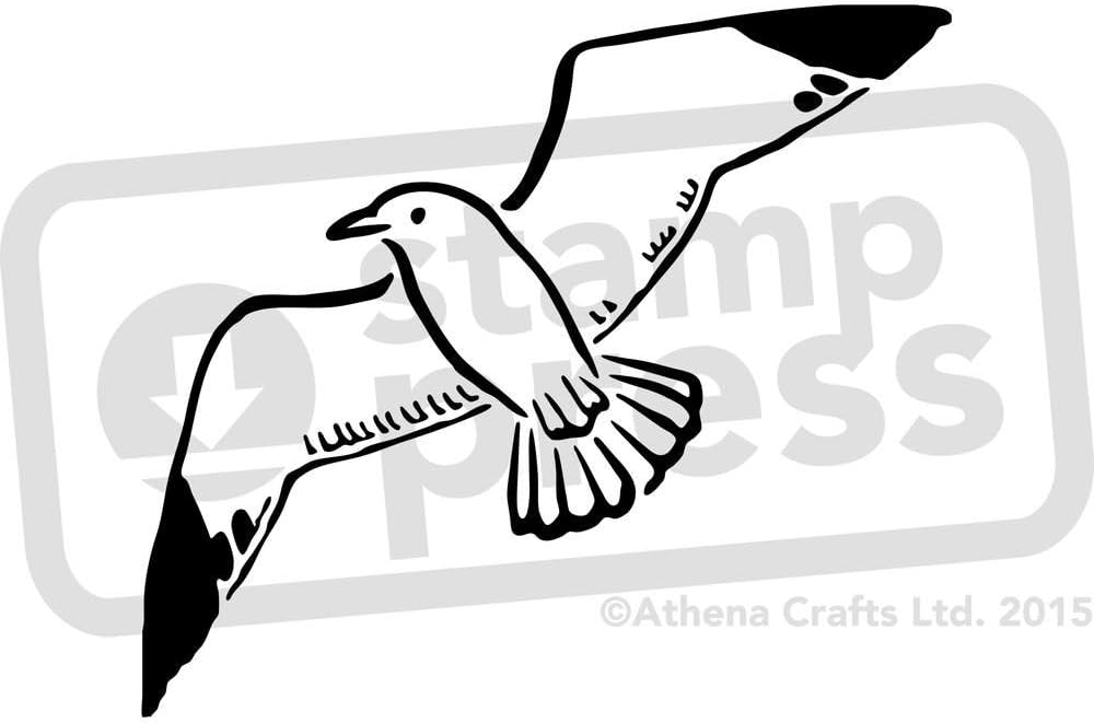 Amazon.com: A5 ‘Seagull’ Wall Stencil / Template (WS00009920)