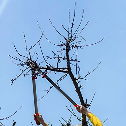 EONLION Lopper Shears, Professional Compound Action Bypass Lopper, Tree Trimmers Secateurs, 27-Inch Length with 20-Inch Handle Shock Absorbing Effort-Saving Garden Lopper, Pruning Tool