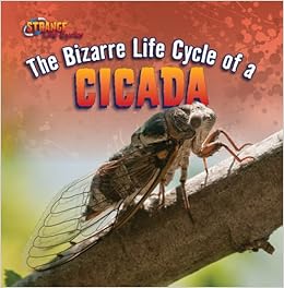 The Bizarre Life Cycle Of A Cicada Strange Life Cycles Amazon De Roza Greg Fremdsprachige Bucher