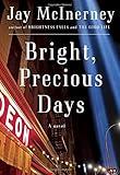 Bright, Precious Days: A novel