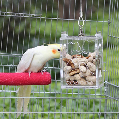 6 KINTOR+Parrot+Creative+Foraging+4+8x3+6x2+6inch