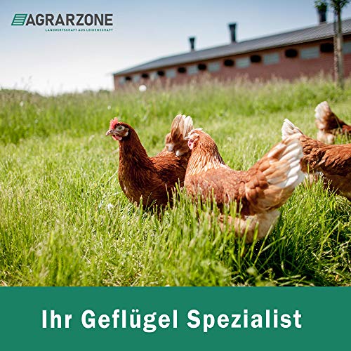 Agrarzone Automatische Hühnerklappe Batterie mit Schieber 40 x 43 cm- Hühnertür elektrisch mit Timer, Manuell, Lichtsensor für Hühnerstall – Bild 7