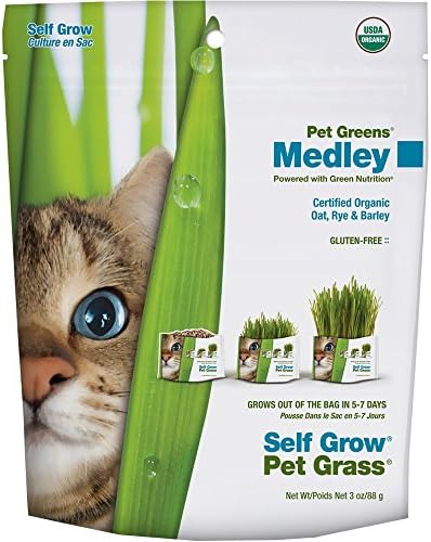Pet Greens Garden Self Grow Kit