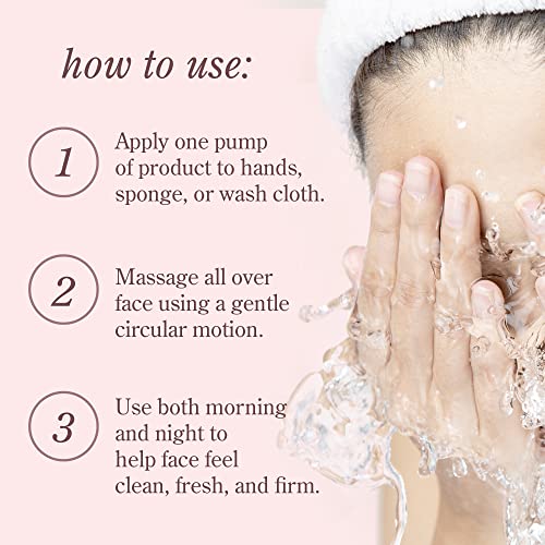Face Cleaner by Whitney Jean, Gentle Facial Cleanser, Daily Face Wash