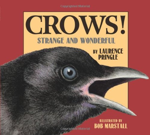 Download Crows!: Strange and Wonderful