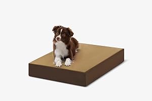 BIG BARKER Barker Beds Small Orthopedic Dog Crate Bed - 4" Memory Foam Mattress - 15-25 lbs - Joint Pain & Arthritis Support - Vet Recommended, Washable Cordura Cover - Made in USA - 27"x18"x4" - Cordura