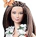 Barbie Collector Dolls of The World Hawaii, USA Doll