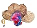 FANCYTE 18-25CM 50 Grams(25PIECES ) INDIAN ALMOND LEAVES Fish Tank for Shrimp Crayfish, Betta Fish ,Improve Comfort by Simulating House For Fish Healthy