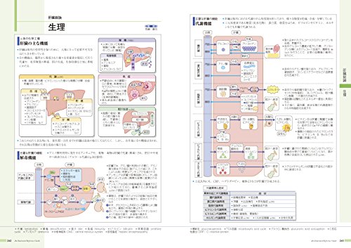 病気 が みえる 消化 器