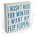 Barnyard Designs Wooden Summer Beach House Box Sign, Motivational Desk Decorations for Women Office, Bathroom Shelf Decor, Inspirational Desk Decor, 8x12 (Flip Flops)