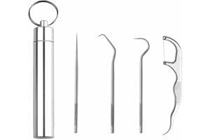 4Set Portable Storage Toothpick Holder with Stainless Steel Toothpicks Dispenser for Teeth Cleaning Unique Home Design Decora