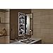 Kohler K-2918-PG-SAA Catalan Mirrored Cabinet with 107° Hinge, Satin Anodized Aluminum