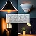 Flame LED Light Bulbs - Long-Lasting Flame Flickering Light Bulbs for Authentic Fire Light, FlickerLight by Livin’ Well (2 Pack)